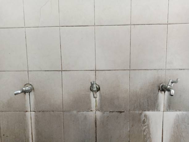 Best 24/7 water damage repair  in Rosanky, TX