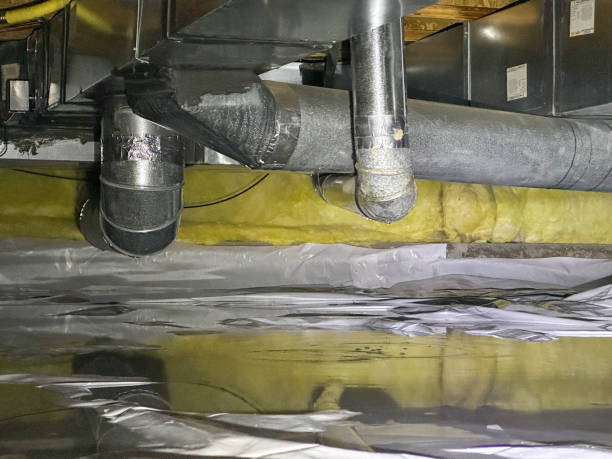 Best Local water damage restoration  in Rosanky, TX