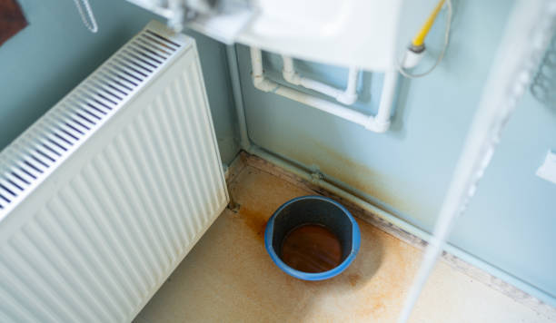 Best Basement water damage restoration  in Rosanky, TX