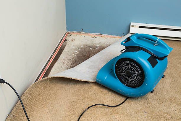 Best Ceiling water damage repair  in Rosanky, TX
